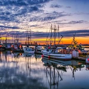 Meet your Posher, Arianna